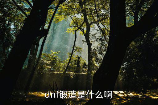 dnf锻造是什么啊