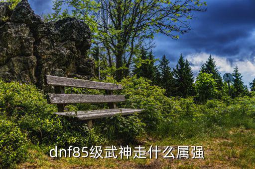 dnf85级武神走什么属强