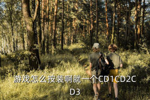 游戏怎么按装啊就一个CD1CD2CD3