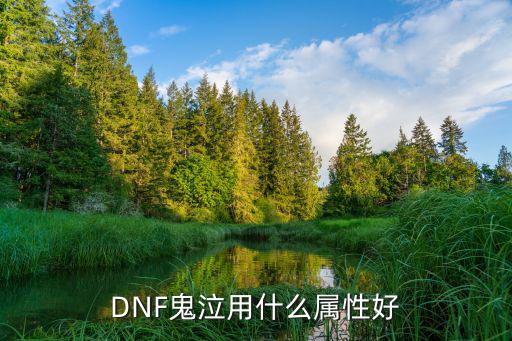 DNF鬼泣用什么属性好