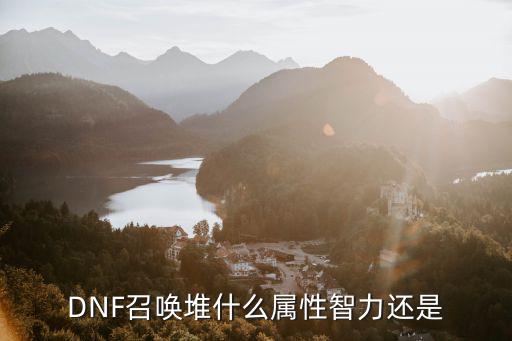 dnf召唤武器堆什么属性，DNF召唤堆什么属性智力还是