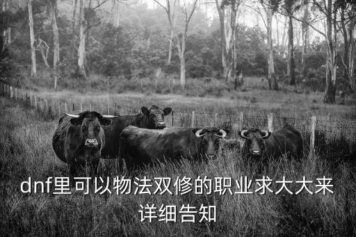 dnf双修职业堆什么属性，DNF剑圣应该堆什么属性强化我60平民剑圣光巨双修