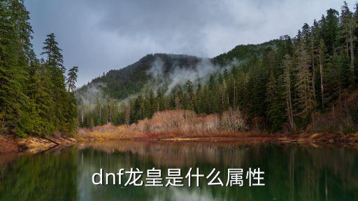 dnf龙皇是什么属性