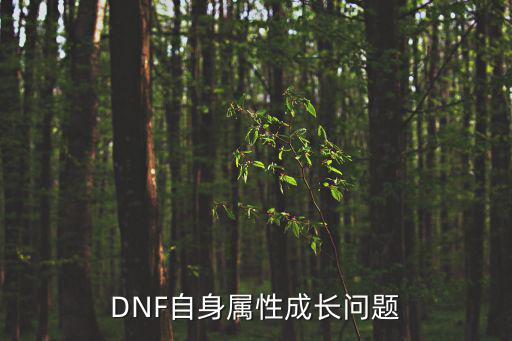 DNF自身属性成长问题