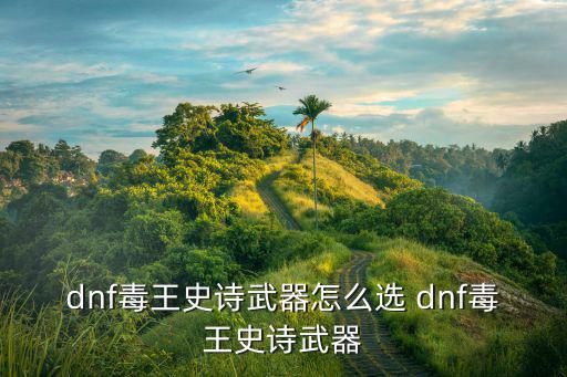 dnf毒王史诗武器怎么选 dnf毒王史诗武器