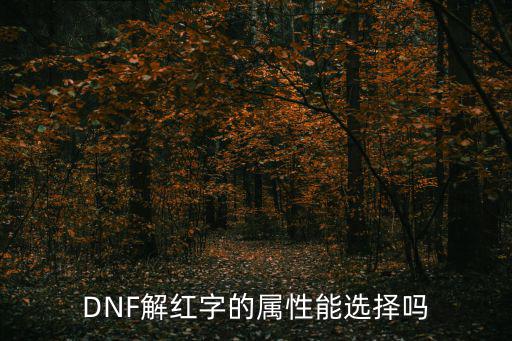 DNF解红字的属性能选择吗