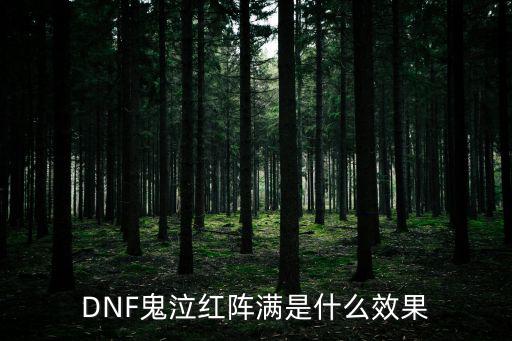 dnf红阵加什么属性，DNF 鬼泣的红阵和绿阵 加5还是多加点