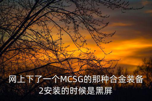 网上下了一个MCSG的那种合金装备2安装的时候是黑屏