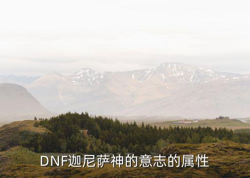 DNF迦尼萨神的意志的属性