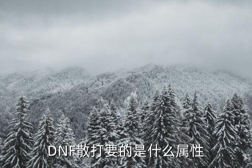 DNF散打要的是什么属性