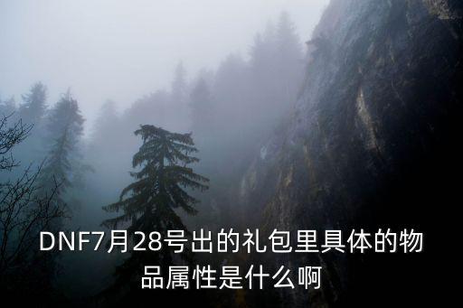 DNF7月28号出的礼包里具体的物品属性是什么啊