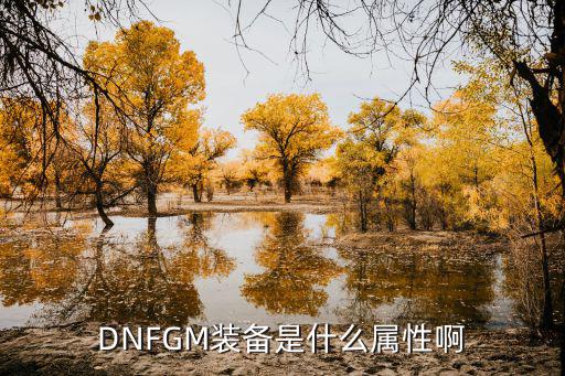 dnf什么是装备属性输入，DNFGM装备是什么属性啊