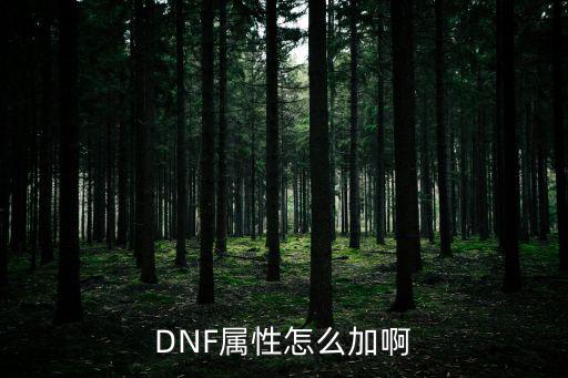 DNF属性怎么加啊