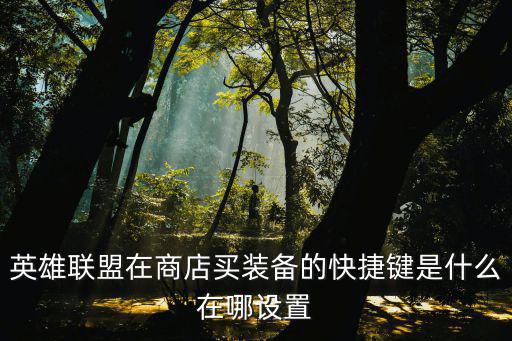 英雄联盟在商店买装备的快捷键是什么在哪设置