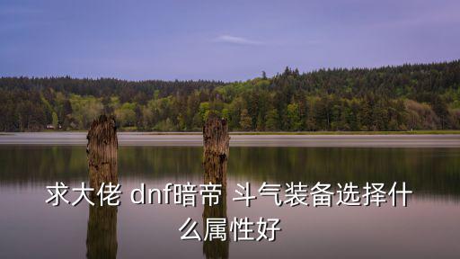 求大佬 dnf暗帝 斗气装备选择什么属性好