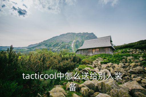 tacticool中怎么送给别人装备