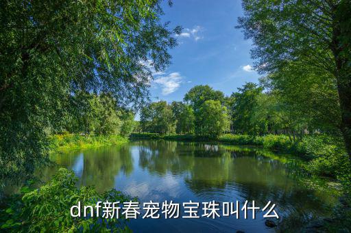 dnf新春宠物宝珠叫什么