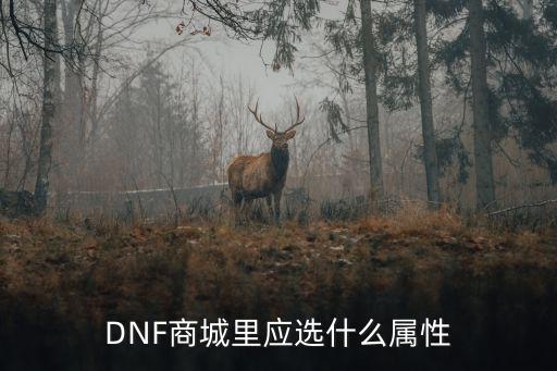 DNF商城里应选什么属性