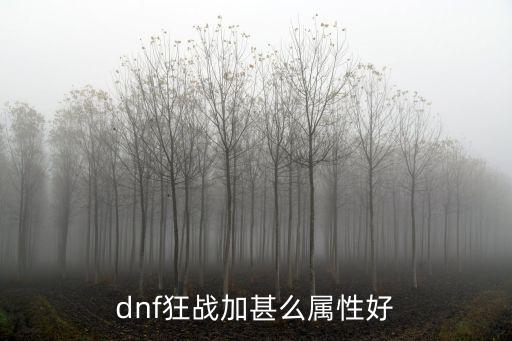 dnf狂战加甚么属性好