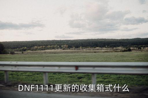 DNF1111更新的收集箱式什么