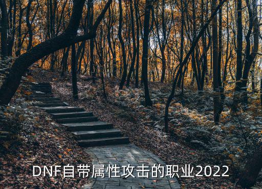 DNF自带属性攻击的职业2022