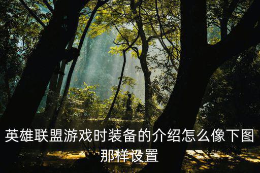 英雄联盟游戏时装备的介绍怎么像下图那样设置