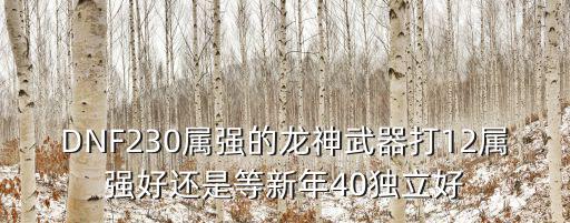 DNF230属强的龙神武器打12属强好还是等新年40独立好