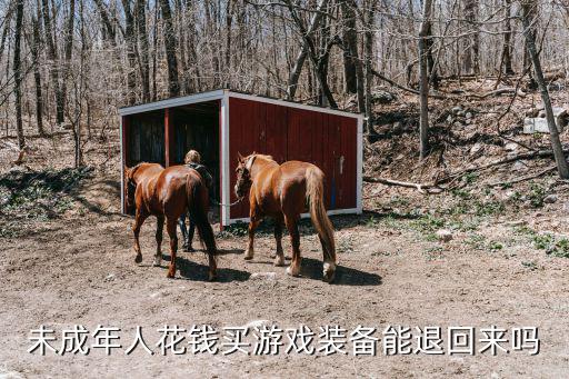 未成年人花钱买游戏装备能退回来吗