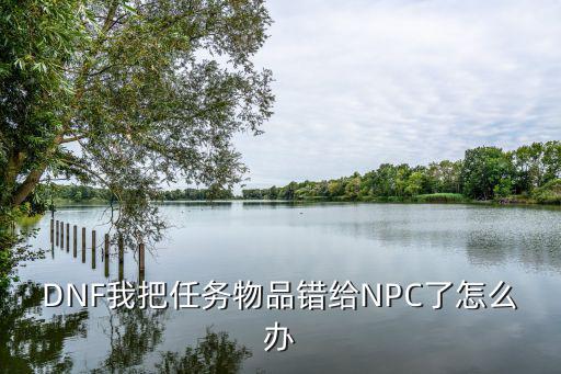 DNF我把任务物品错给NPC了怎么办