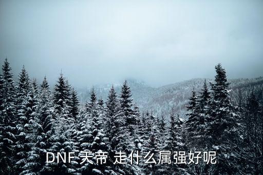 DNF 天帝 走什么属强好呢