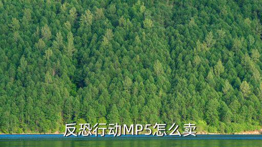 反恐行动MP5怎么卖