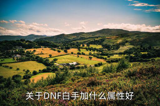 关于DNF白手加什么属性好