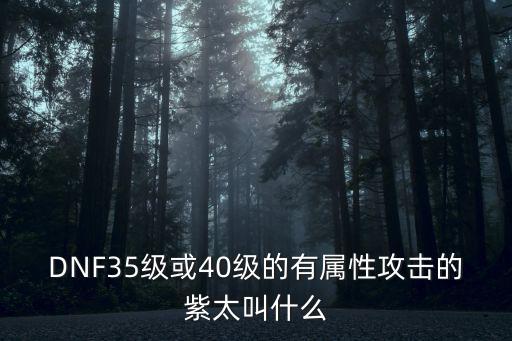 DNF35级或40级的有属性攻击的紫太叫什么