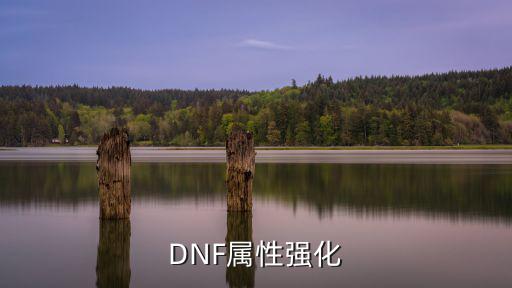 dnf女帝增加什么属性，地下城属性抗性和属性强化有什么区别