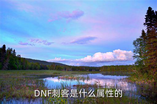 DNF刺客是什么属性的