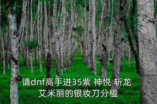 请dnf高手进35紫 神悦 斩龙 艾米丽的银妆刀分楹