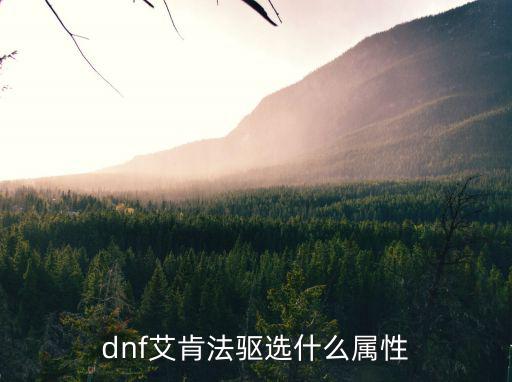 dnf艾肯法驱选什么属性