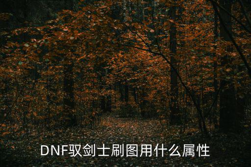 dnf驭剑士重视什么属性，dnf驭剑士属强选择