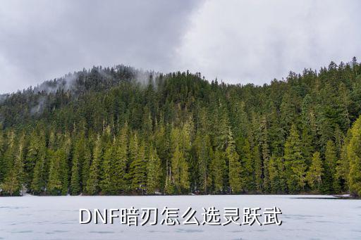 DNF暗刃怎么选灵跃武