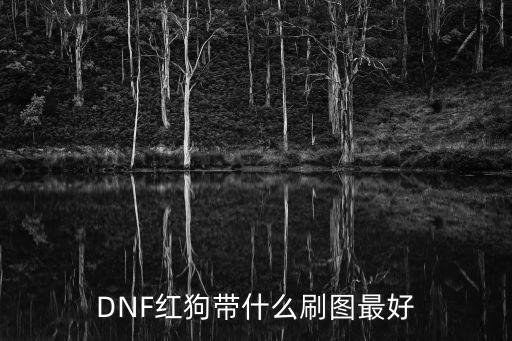 DNF红狗带什么刷图最好