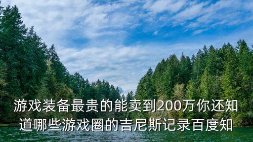 游戏装备最贵的能卖到200万你还知道哪些游戏圈的吉尼斯记录百度知