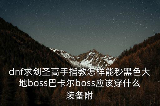 dnf求剑圣高手指教怎样能秒黑色大地boss巴卡尔boss应该穿什么装备附