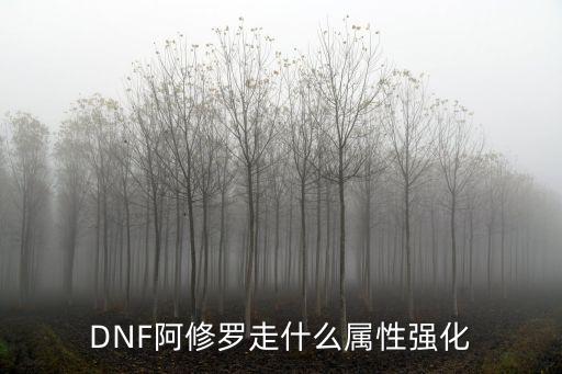 DNF阿修罗走什么属性强化