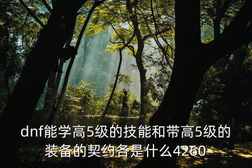 dnf能学高5级的技能和带高5级的装备的契约各是什么4260