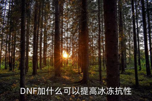 DNF加什么可以提高冰冻抗性