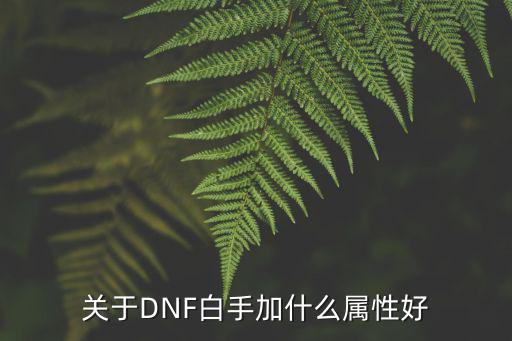 dnf白手提升什么属性，关于DNF白手加什么属性好