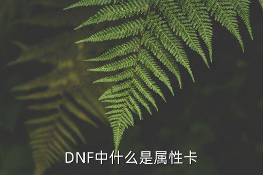 DNF中什么是属性卡