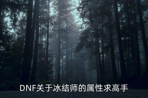 dnf冰结师什么属性，DNF关于冰结师的属性求高手