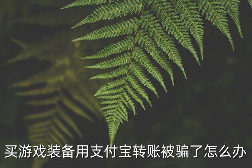 买游戏装备用支付宝转账被骗了怎么办