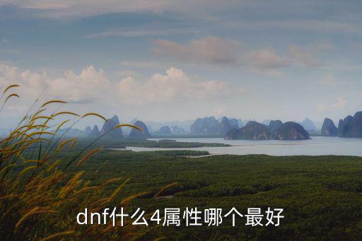 dnf什么4属性哪个最好